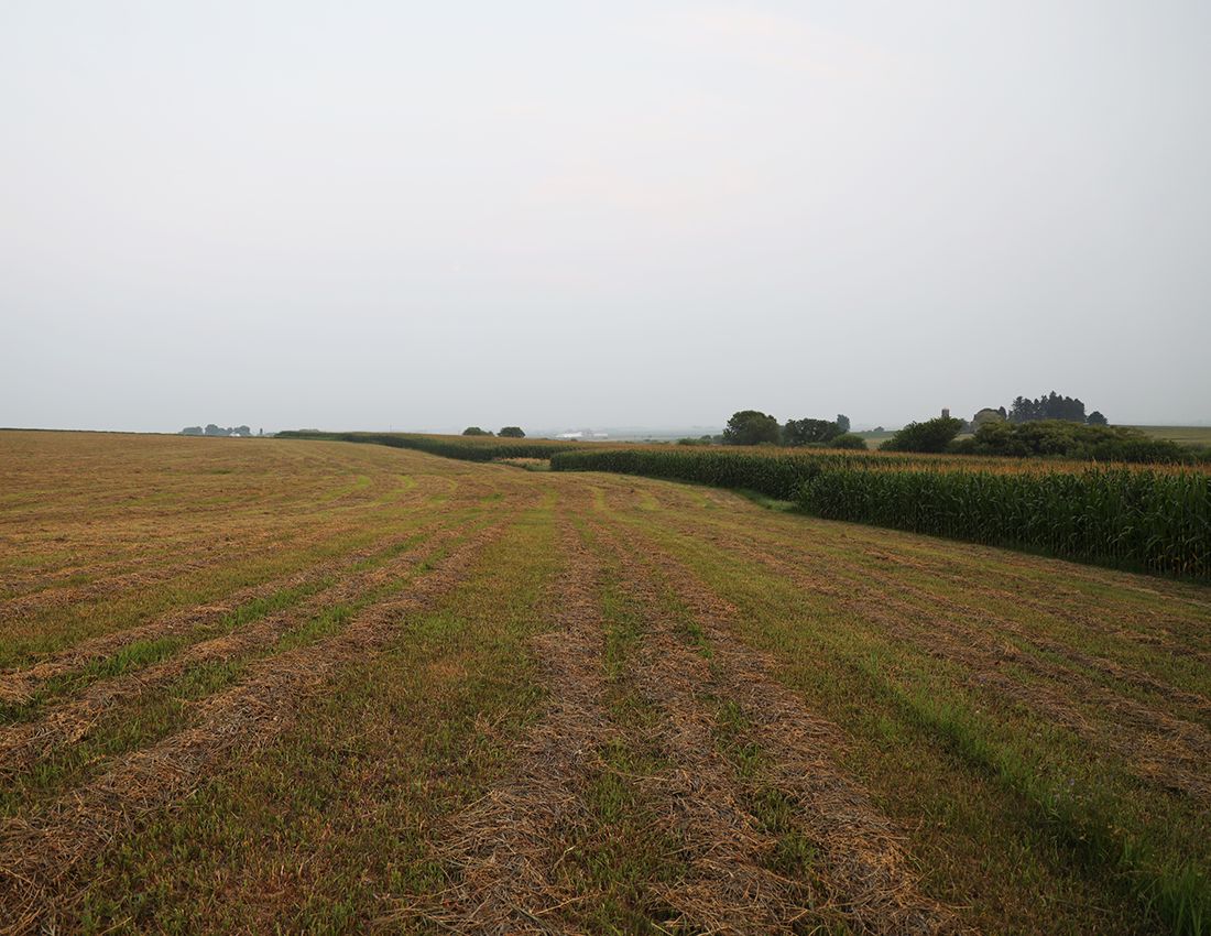 Listing Photo: Paw Paw Farm for sale